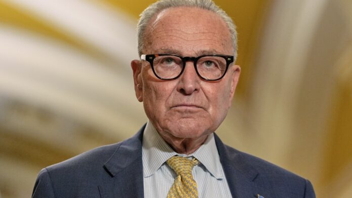 Schumer warns of a government shutdown WM - Tag Template