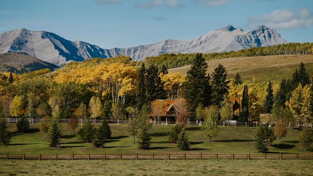 Historic Stampede Ranch once owned by Guy Weadick facing receivership Homepage