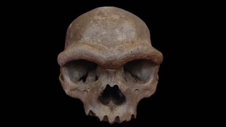 China’s Dragon Man Skull Found to Belong to Denisovan Lineage China’s Dragon Man Skull Found to Belong to Denisovan Lineage