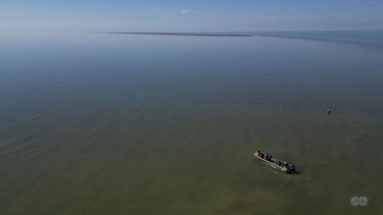 New Island Forms in Caspian Sea as Water Levels Drop, Russian Scientists Confirm New Island Forms in Caspian Sea as Water Levels Drop, Russian Scientists Confirm