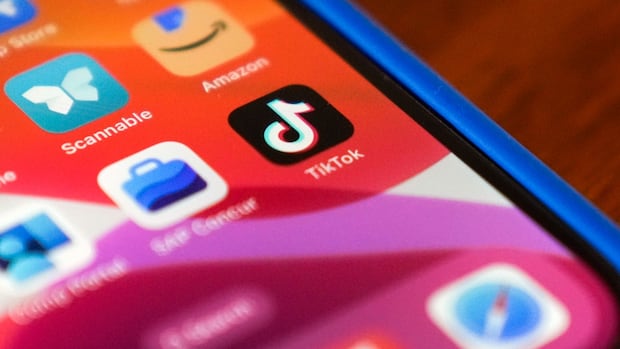 ‘Skibidi’ and ‘tradwife’ are now part of the Cambridge Dictionary