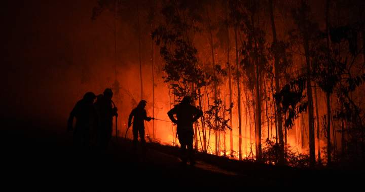 Southern Europe wildfires leave 3 dead, thousands displaced – National Southern Europe wildfires leave 3 dead, thousands displaced – National